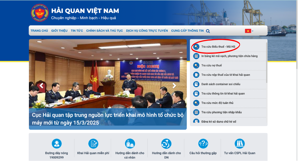 Thông qua trang website Hải quan Việt Nam